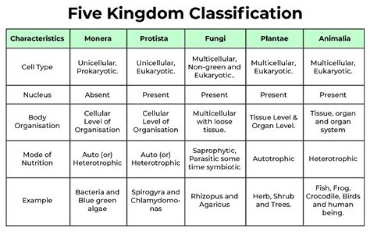 What is the difference between biological and non biological?