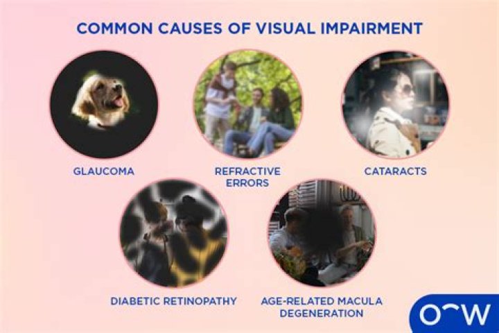 What is visual impairment?
