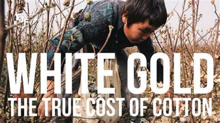What was cotton called white gold?