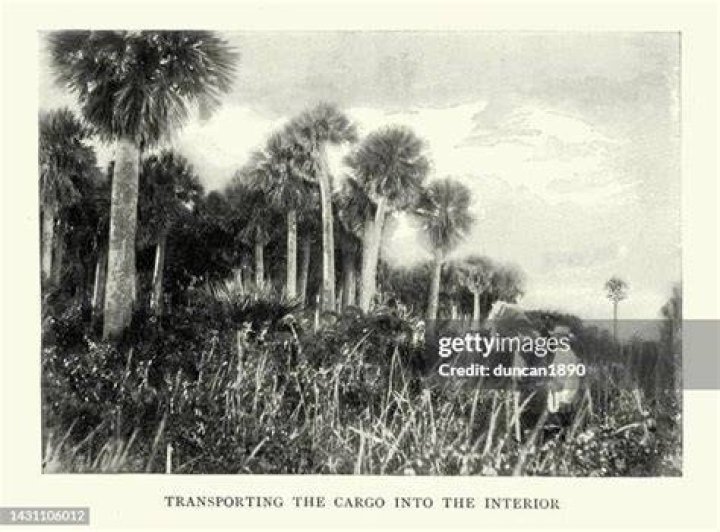 Whats a filibustering expedition?