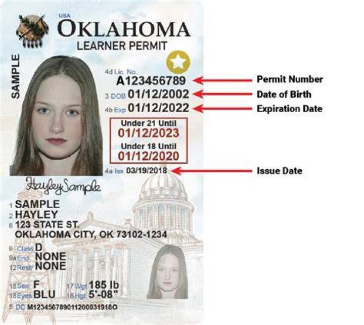 Whats an auto examination permit?