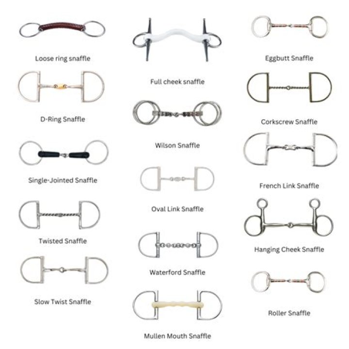 Whats snaffle bit mean?