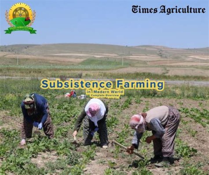 Whats the meaning of subsistent?