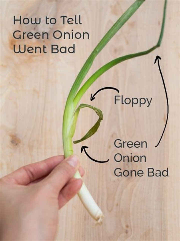 When are scallions bad?