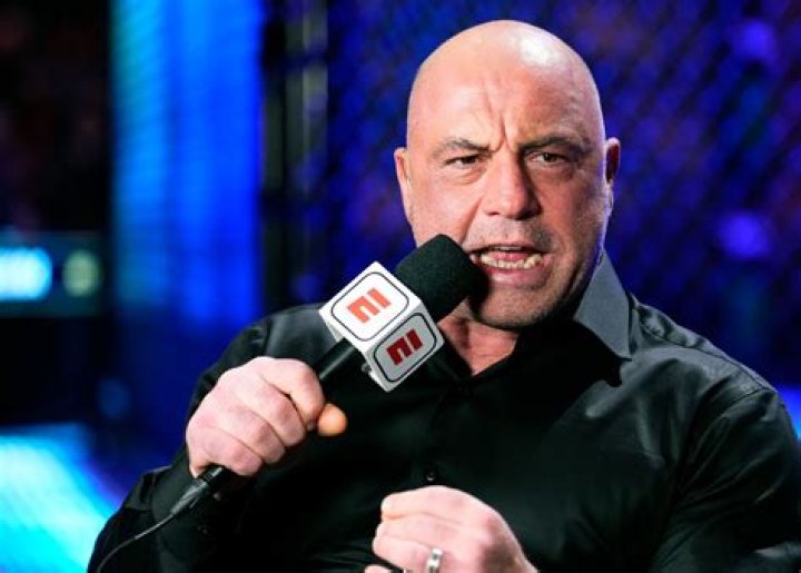 When did rogan join ufc?