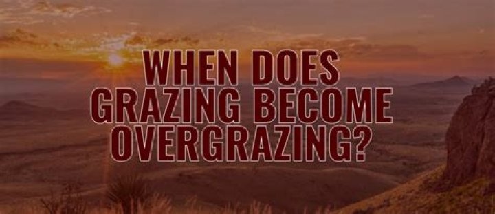 When does overgrazing occur?