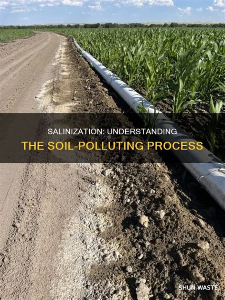 When does salinization occur?