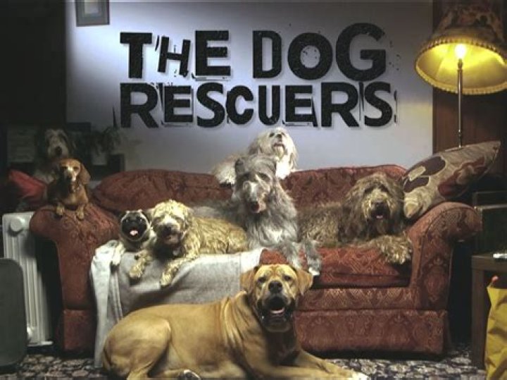 When is dog rescuers on tv?
