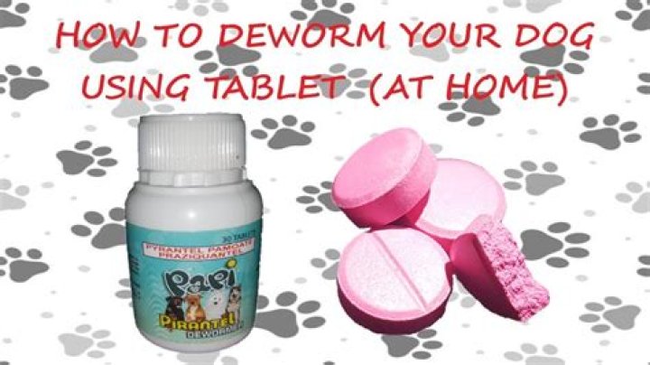 When should deworming tablet be taken?