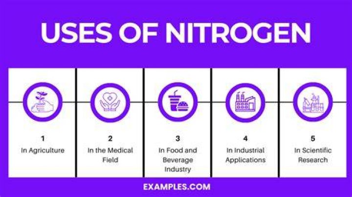Where do consumers get nitrogen?