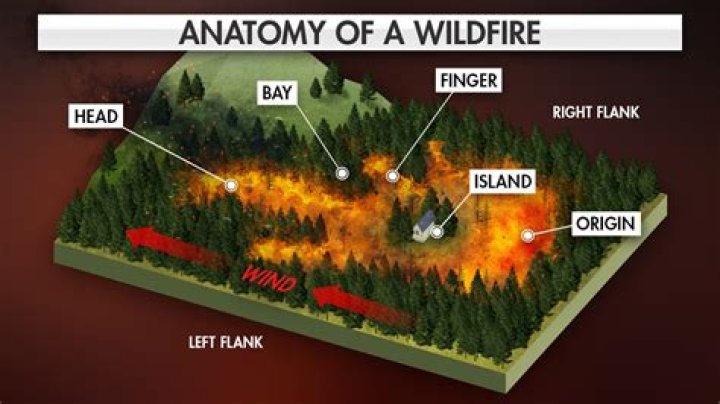 Where does backfire come from?