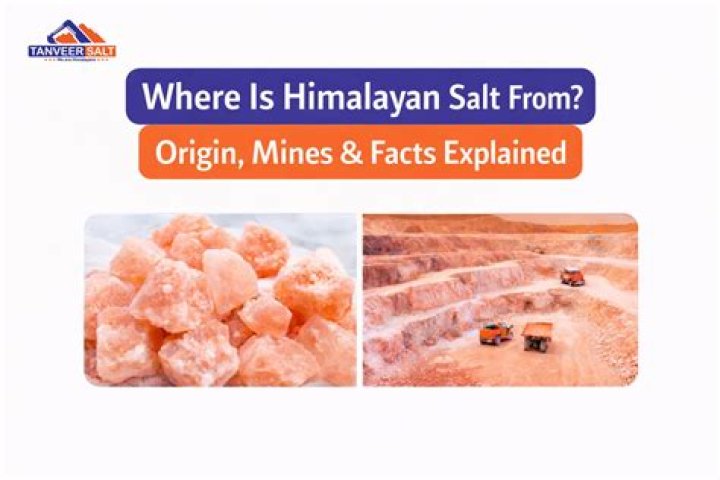 Where himalayan salt from?