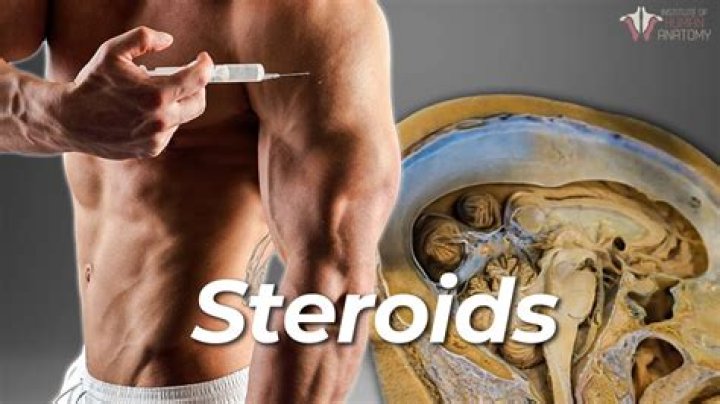 Where steroids are found?