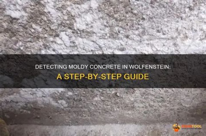 Where to find the moldy concrete in wolfenstein?
