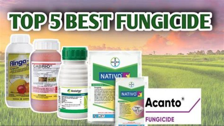 Which is the best fungicide?