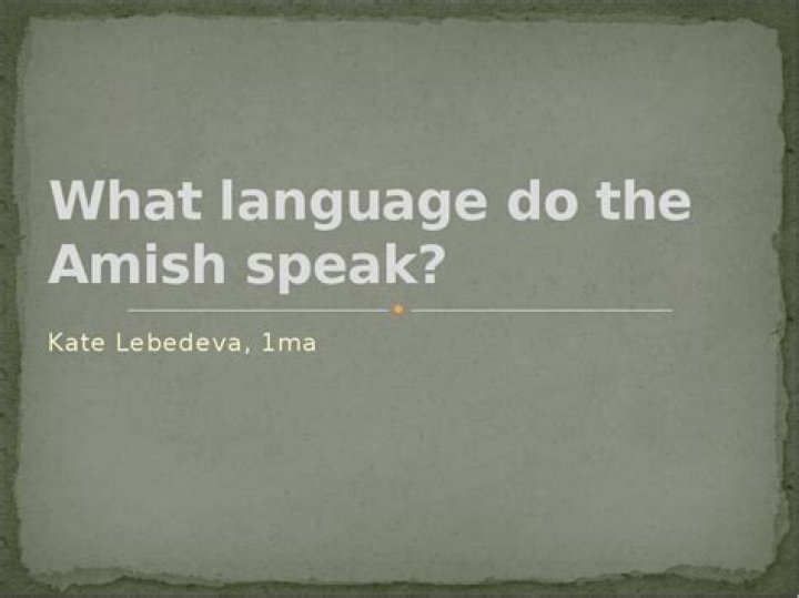Which language do amish speak?
