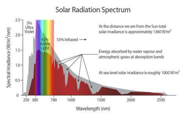 Which of these is the source of the sun's (star's) energy?
