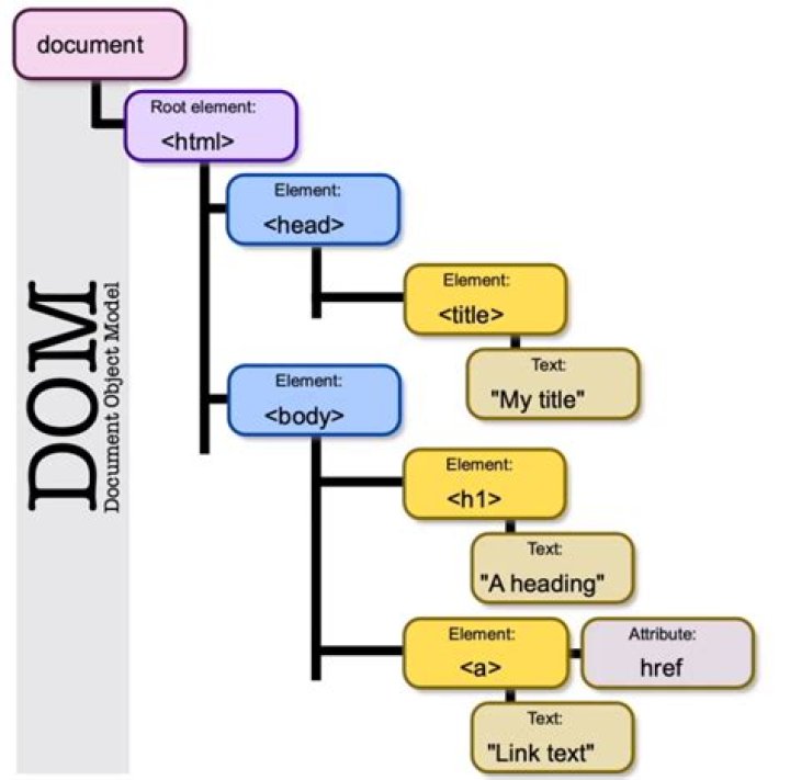 Which property references the dom object?