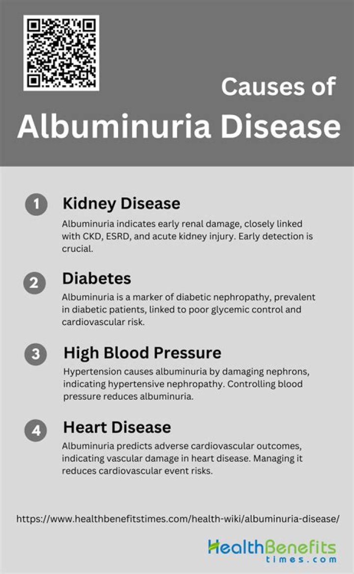 Which term is synonymous with albuminuria?