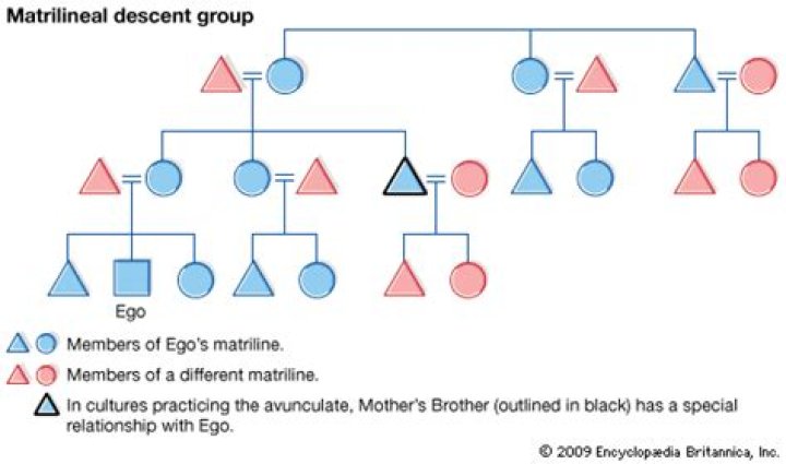 Who follow the matrilineal family system?