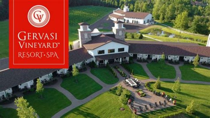 Who owns gervasi vineyard?