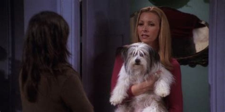 Who played clunkers in friends?