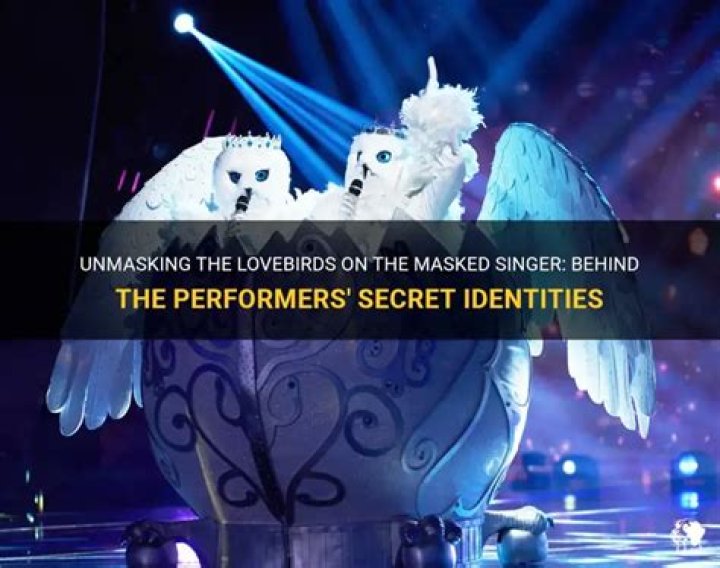 Who were the lovebirds on the masked singer?