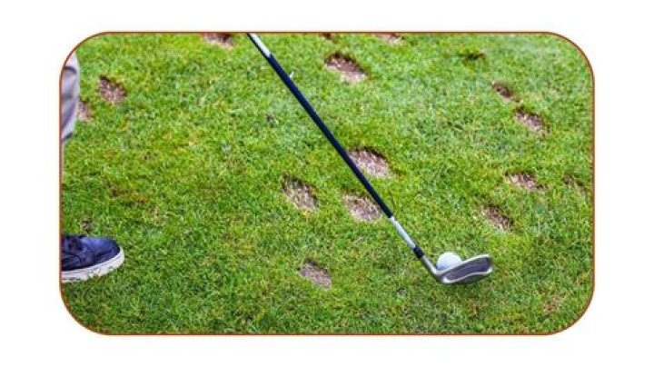 Why can't i take a divot?