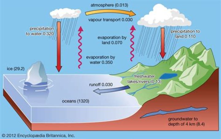 Why does water evaporate?