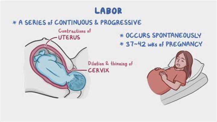Why ephedrine during labor?