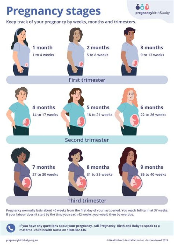 Why first three months are important in pregnancy?