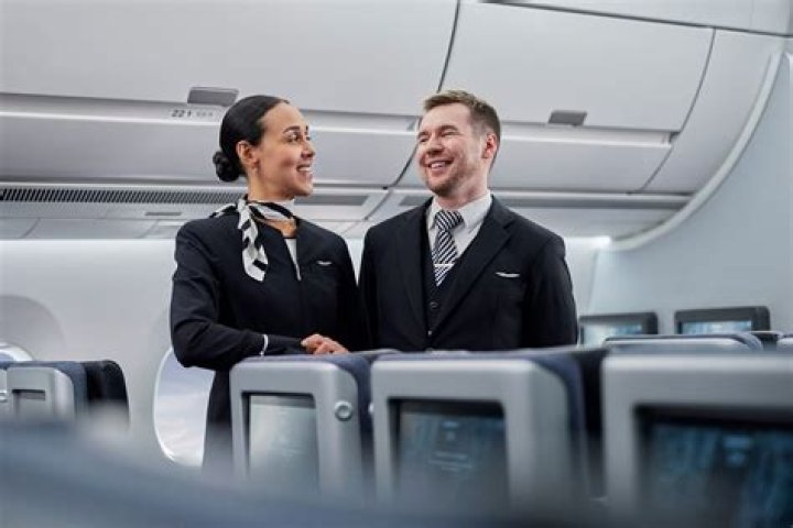 Why flight attendant is the best job?