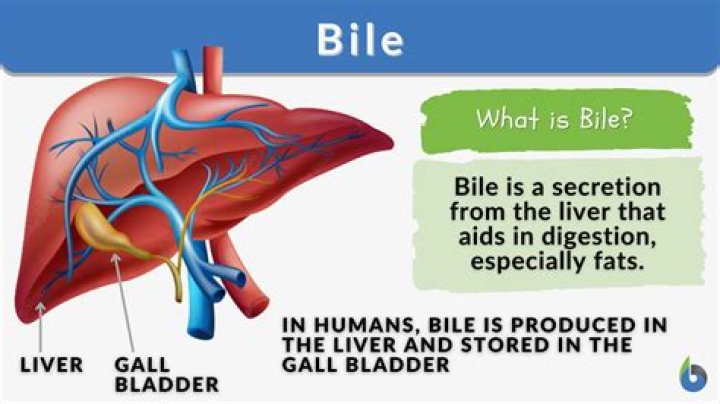 Why is bile esculin used?