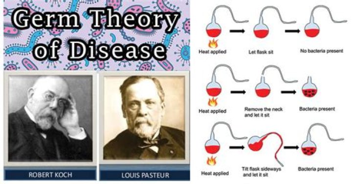 Why is germ theory a theory?