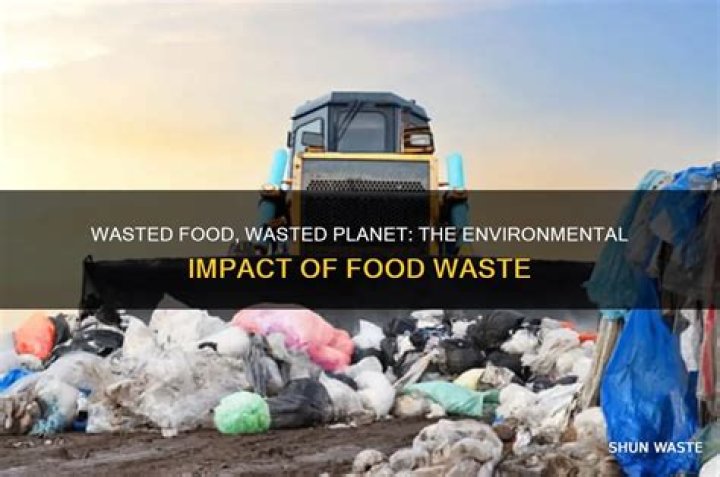 Why is throwing away food bad?