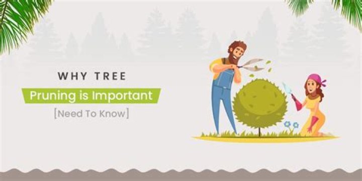 Why tree pruning is important?