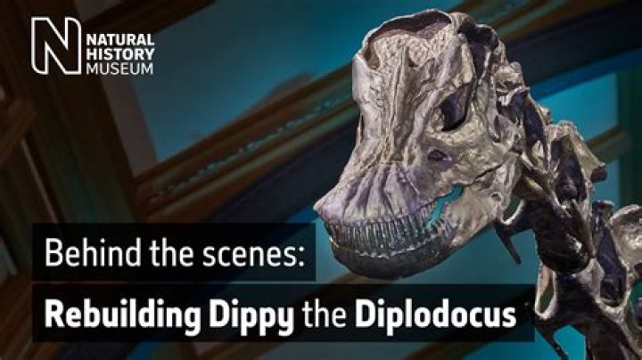Why was dippy removed?