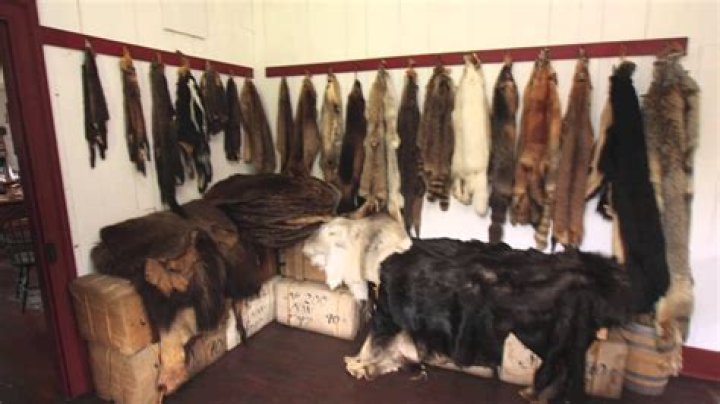 Why were furs so valuable?