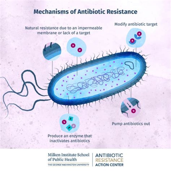 Will bacteria become resistant to antibiotics?