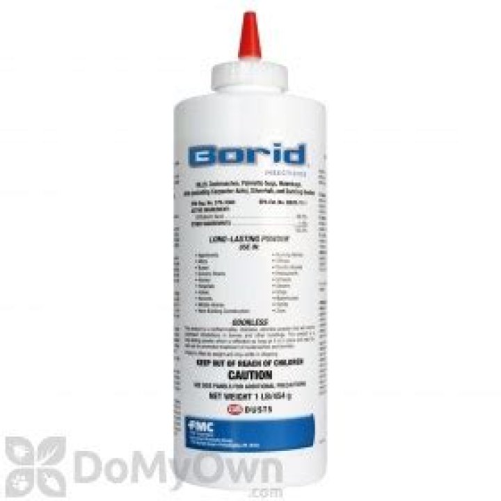 Will boric acid kill mice?
