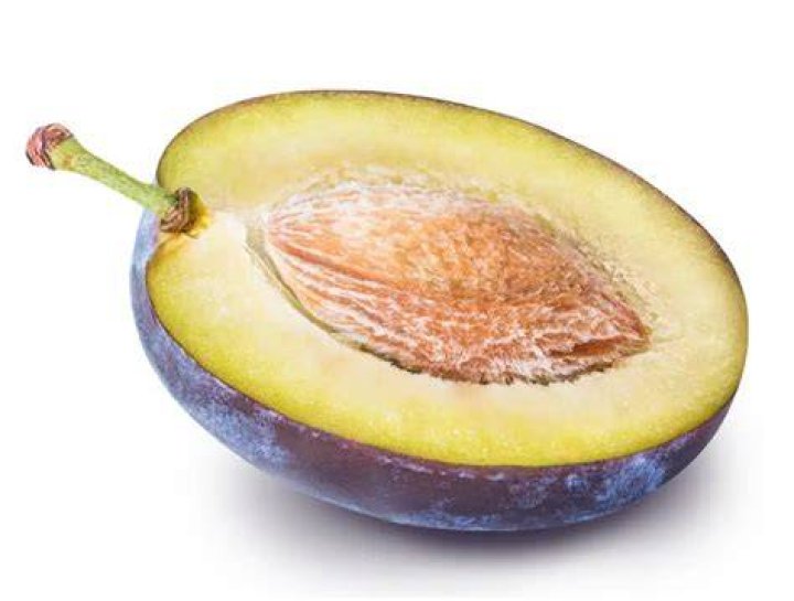 Will one plum kill a dog?