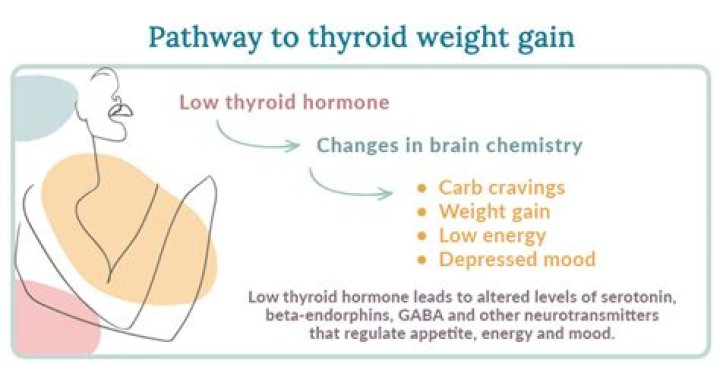 Will thyroid medicine cause weight loss?