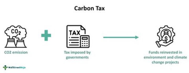 Would a carbon tax reduce global emissions?