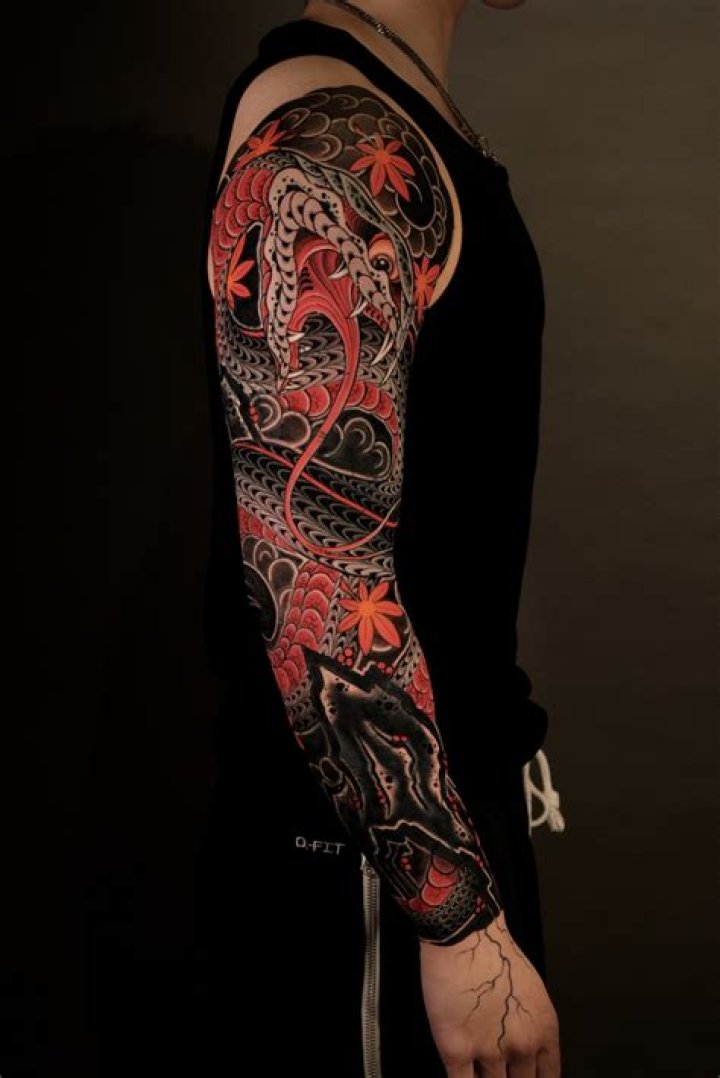 Would a sleeve tattoo suit me?